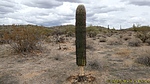 photo thumbnail #8