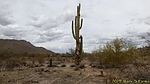 photo thumbnail #11