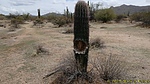 photo thumbnail #12