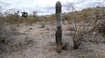 photo thumbnail #13