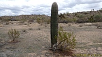 photo thumbnail #14