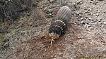 photo thumbnail #5