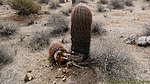 photo thumbnail #7