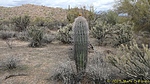 photo thumbnail #10