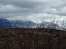 photo thumbnail #13