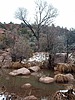photo thumbnail #10