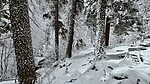 photo thumbnail #13