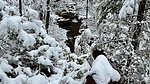 photo thumbnail #14