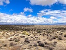 photo thumbnail #9