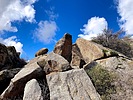 photo thumbnail #8