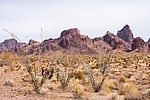 photo thumbnail #8