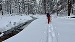 photo thumbnail #10