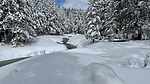 photo thumbnail #13