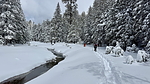 photo thumbnail #15