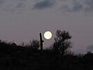 photo thumbnail #1