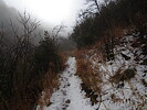 photo thumbnail #6