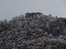 photo thumbnail #12