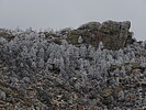 photo thumbnail #14