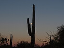 photo thumbnail #1