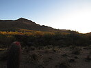 photo thumbnail #2