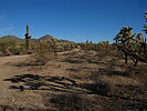 photo thumbnail #4