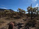 photo thumbnail #5