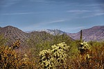 photo thumbnail #2