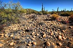 photo thumbnail #5