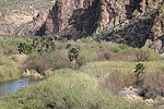 2025-03-16 :2: Goldfield Ovens Loop :: gummo