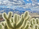 photo thumbnail #3