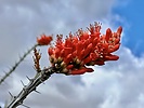 photo thumbnail #7