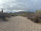 photo thumbnail #2