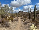 photo thumbnail #6