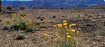 photo thumbnail #14