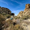 photo thumbnail #12