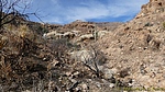 photo thumbnail #10