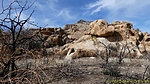 photo thumbnail #13