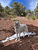 photo thumbnail #2