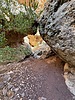 photo thumbnail #11