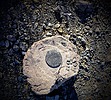 photo thumbnail #9