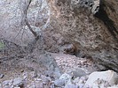 photo thumbnail #11