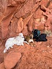 photo thumbnail #13