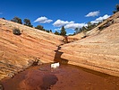 photo thumbnail #4