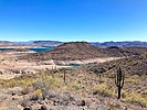 2025-03-19 :1: Cottonwood Trail - Lake Pleasant :: kingsnake