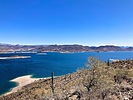 2025-03-19 :1: Cottonwood Trail - Lake Pleasant :: kingsnake