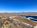 2025-03-19 :1: Cottonwood Trail - Lake Pleasant :: kingsnake