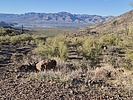 2025-03-19 :2: Dutchwoman Butte :: DixieFlyer