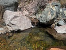 photo thumbnail #11