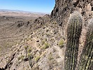 photo thumbnail #3