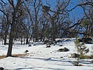 2025-03-21 :2: Mount Ord from 626 TH :: DixieFlyer